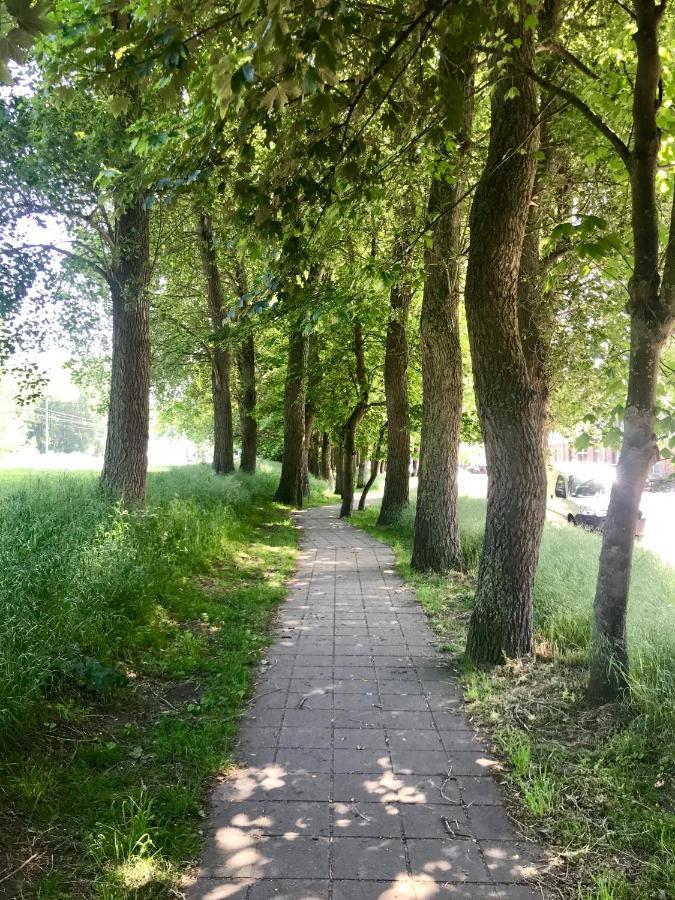 Sea And Dunes Knokke-Heist Zewnętrze zdjęcie